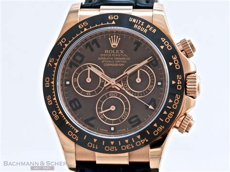 rolex daytona bronzo|rolex daytona watches.